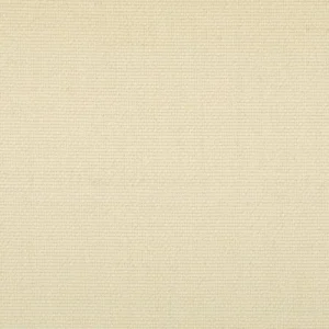 viggo-echo-des-brumes